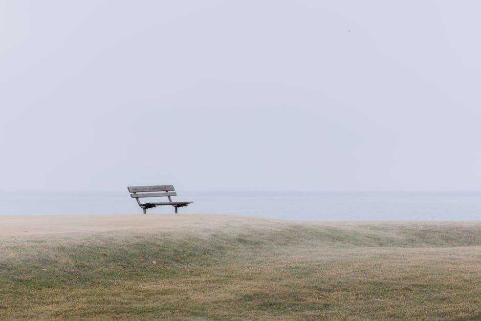 Quiet park bench in fog representing mental stillness and reflection